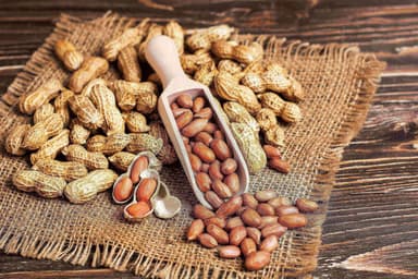 groundnut