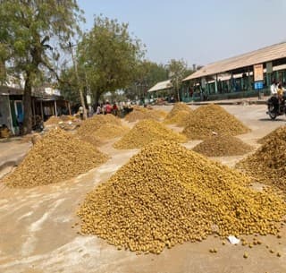 The NIR Spectroscopy Series 2 Banner