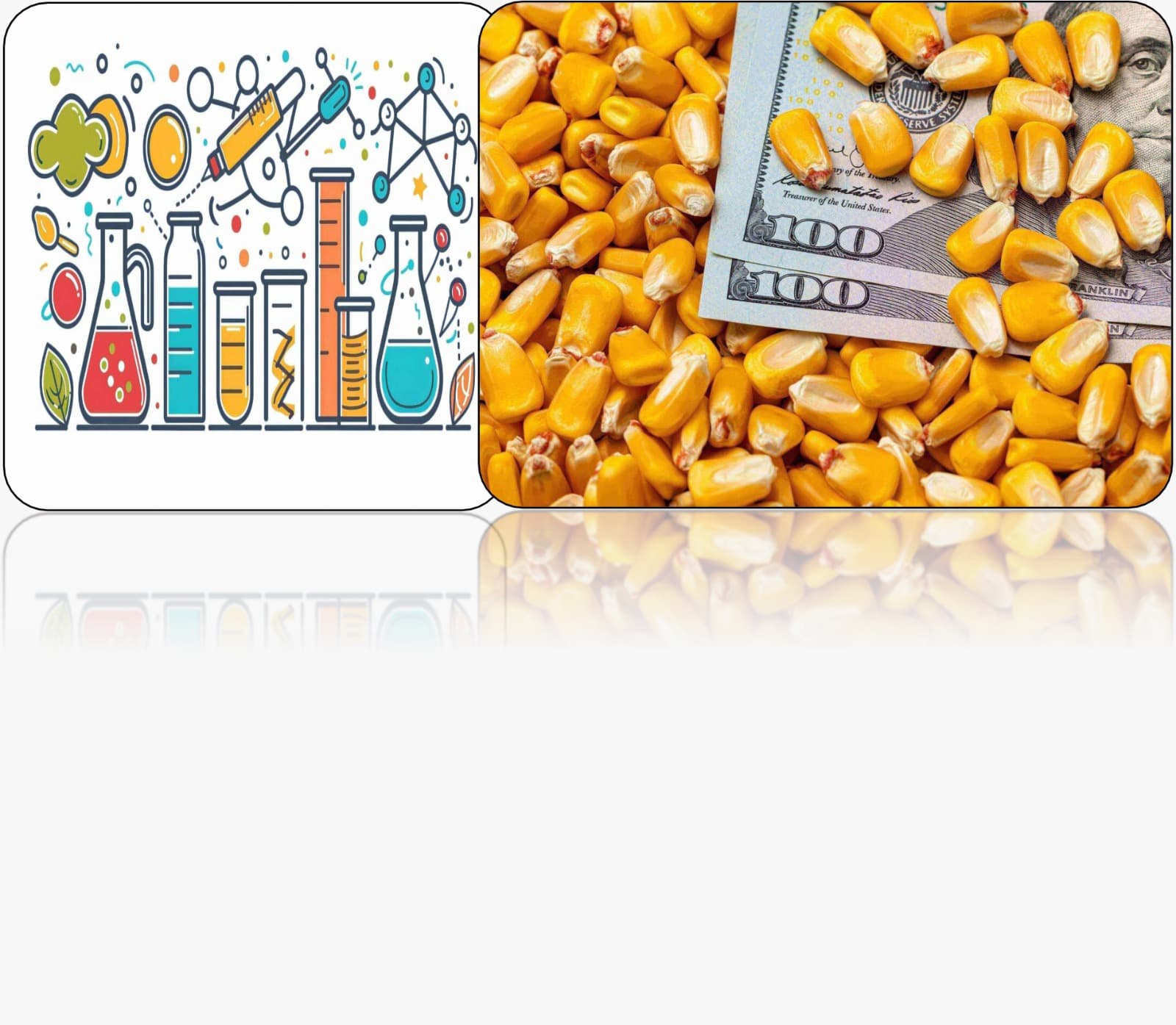 The Green Collar Tech Series 2 Image